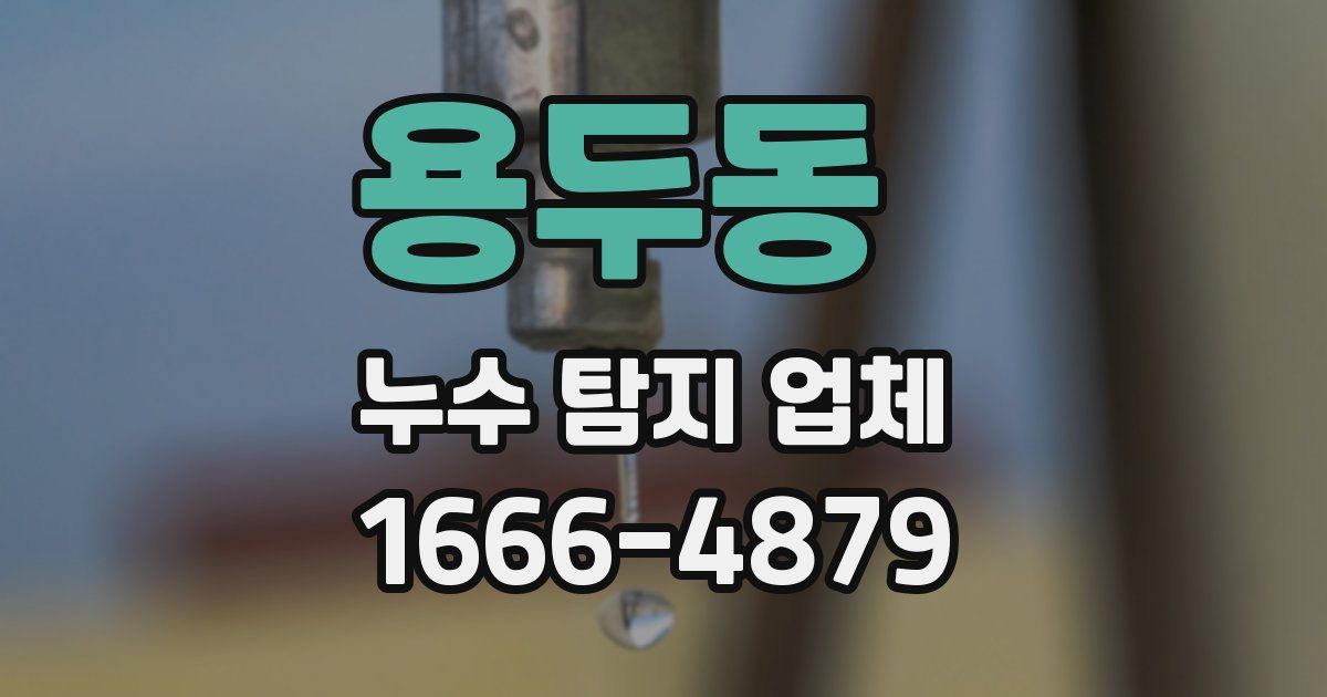 용두동 누수 탐지 업체