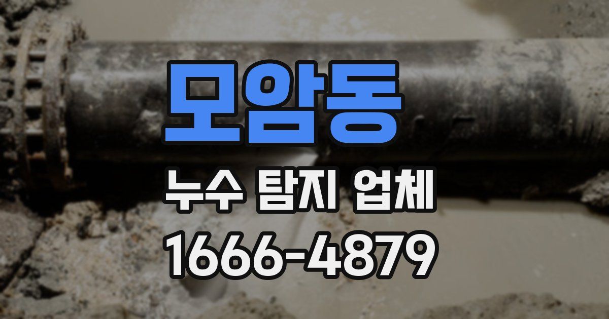 모암동 누수 탐지 업체