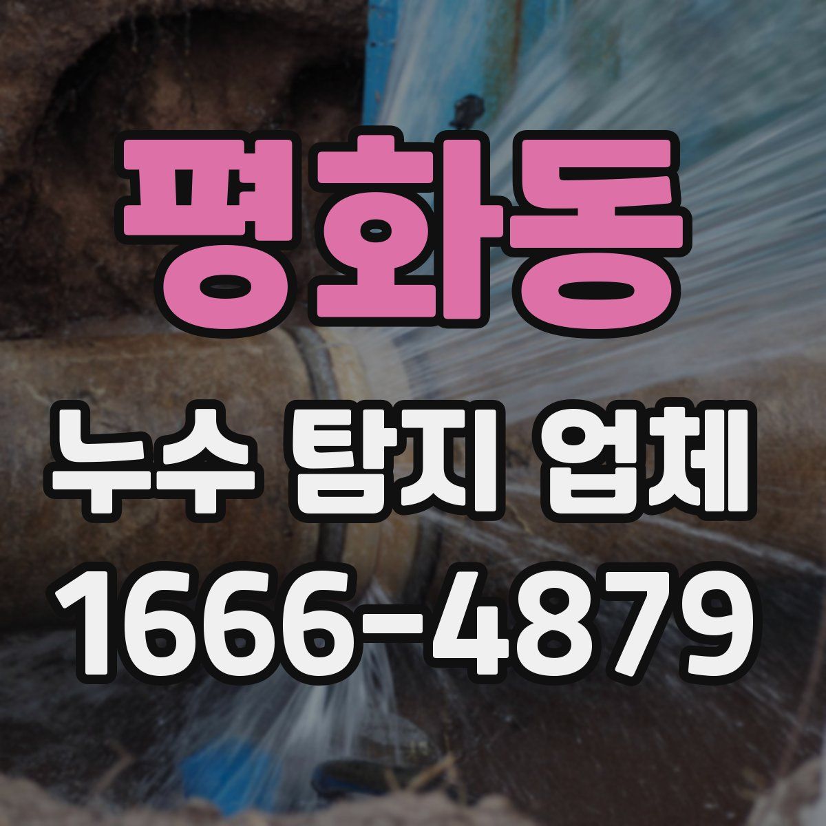 평화동 누수 탐지 업체