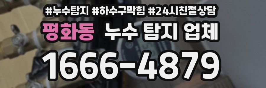 평화동 누수 탐지 업체