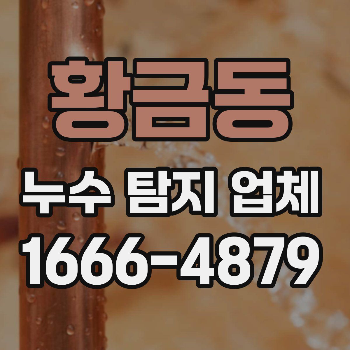 황금동 누수 탐지 업체