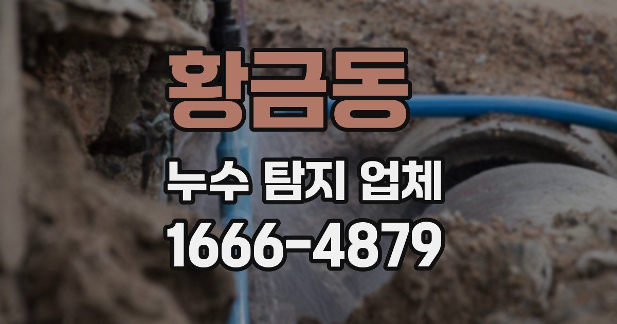 황금동 누수 탐지 업체