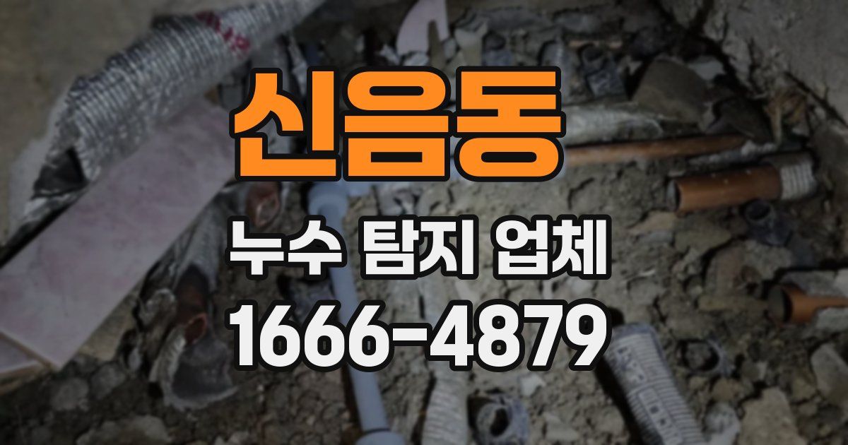 신음동 누수 탐지 업체