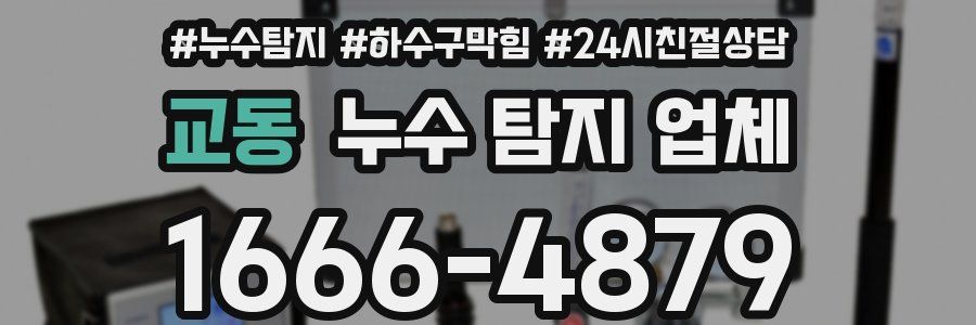 교동 누수 탐지 업체