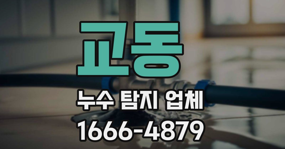 교동 누수 탐지 업체