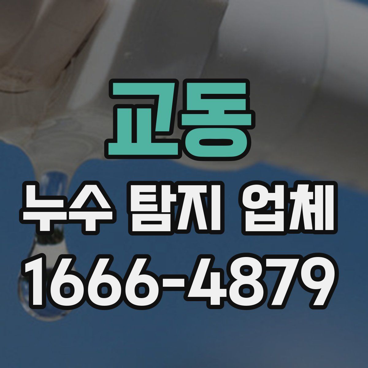 교동 누수 탐지 업체