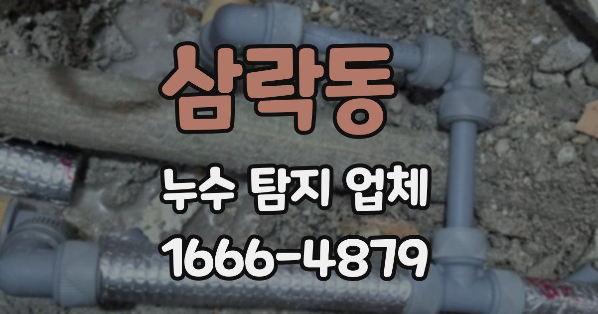 삼락동 누수 탐지 업체