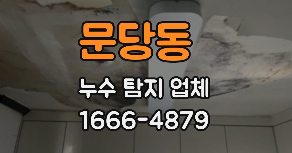 문당동 누수 탐지 업체