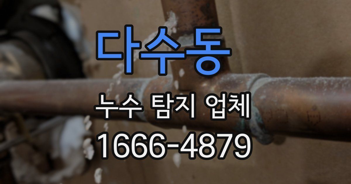 다수동 누수 탐지 업체