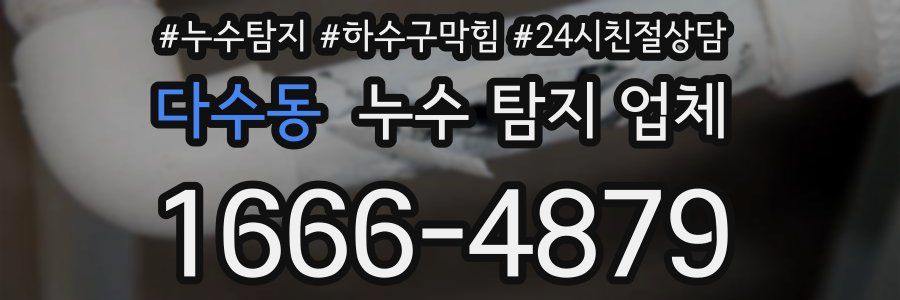 다수동 누수 탐지 업체