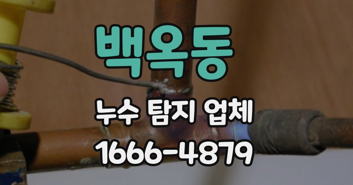 백옥동 누수 탐지 업체