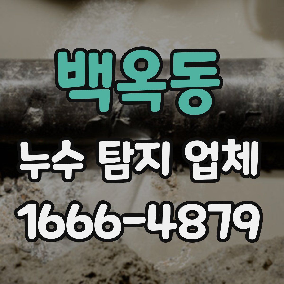 백옥동 누수 탐지 업체