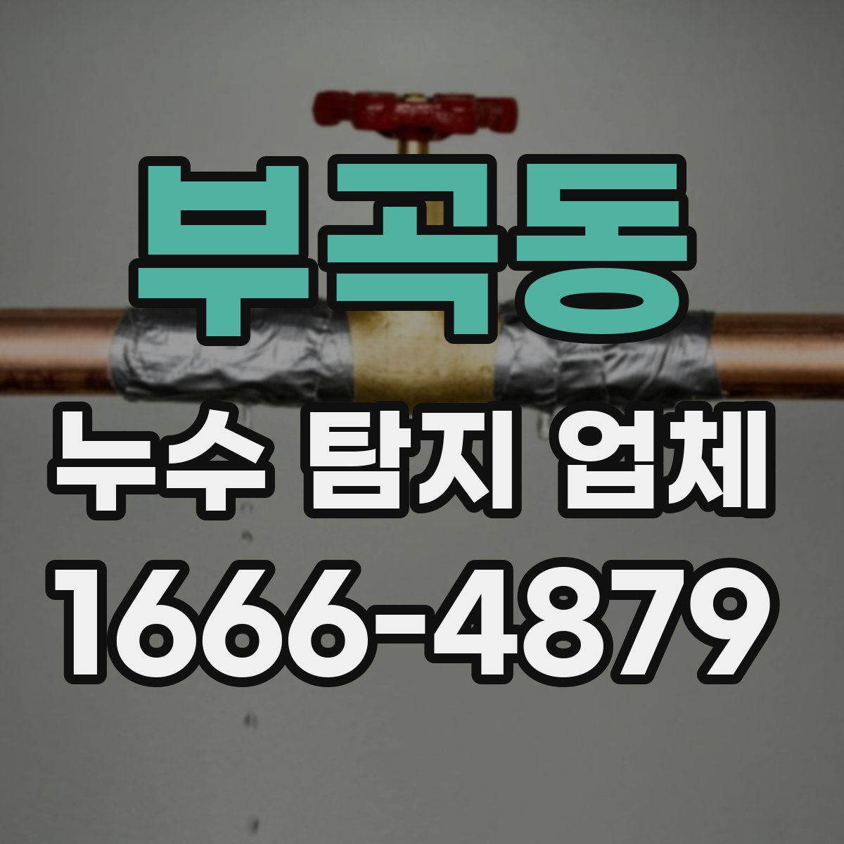부곡동 누수 탐지 업체