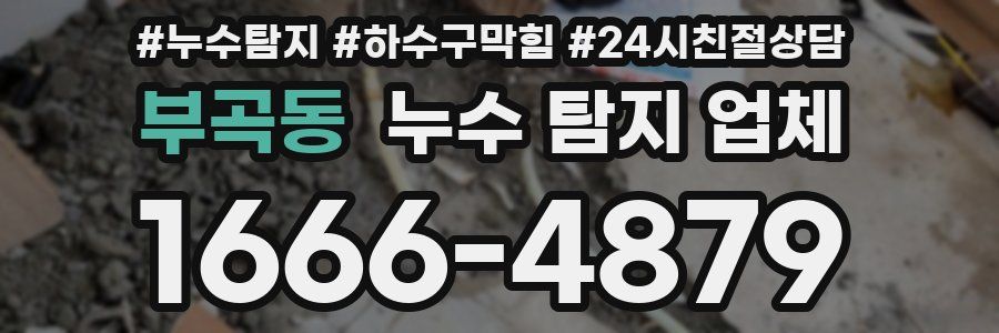 부곡동 누수 탐지 업체