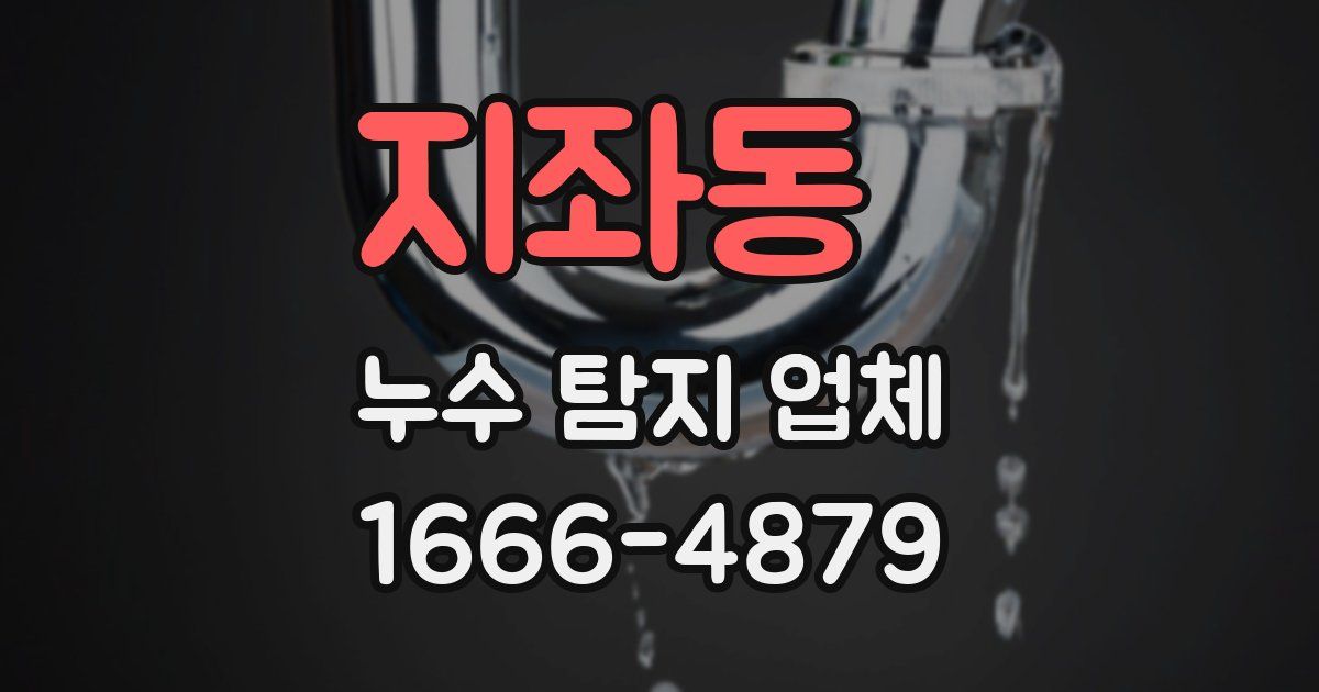 지좌동 누수 탐지 업체