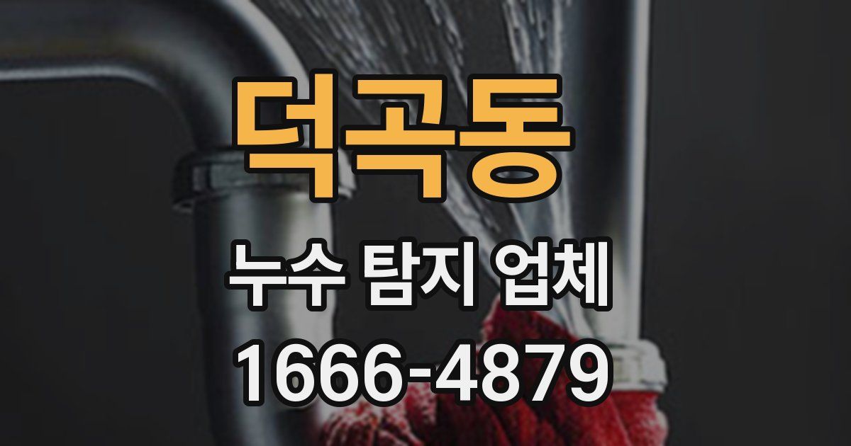 덕곡동 누수 탐지 업체