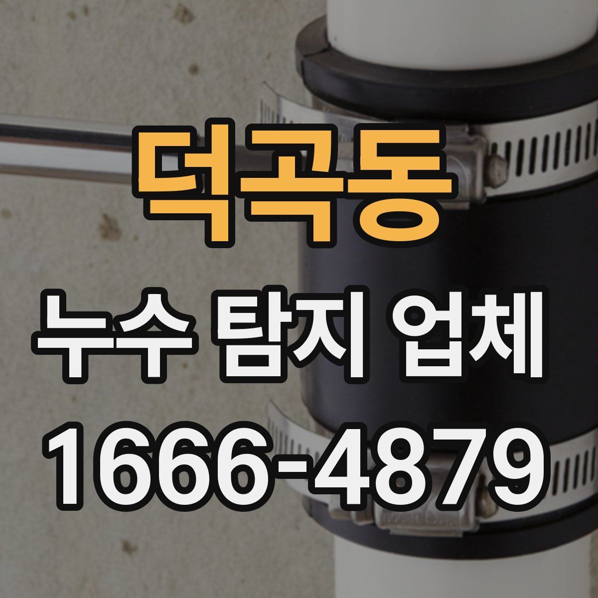 덕곡동 누수 탐지 업체