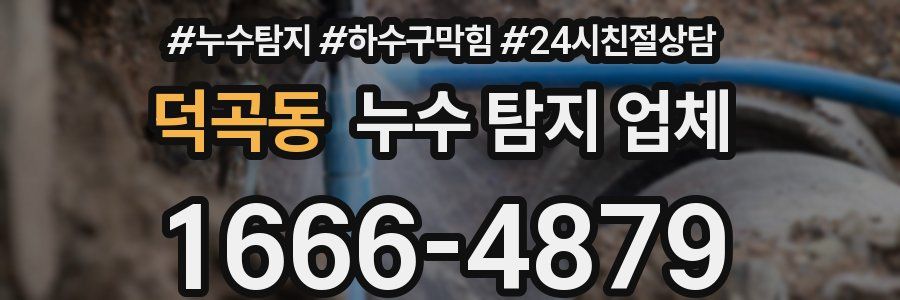 덕곡동 누수 탐지 업체
