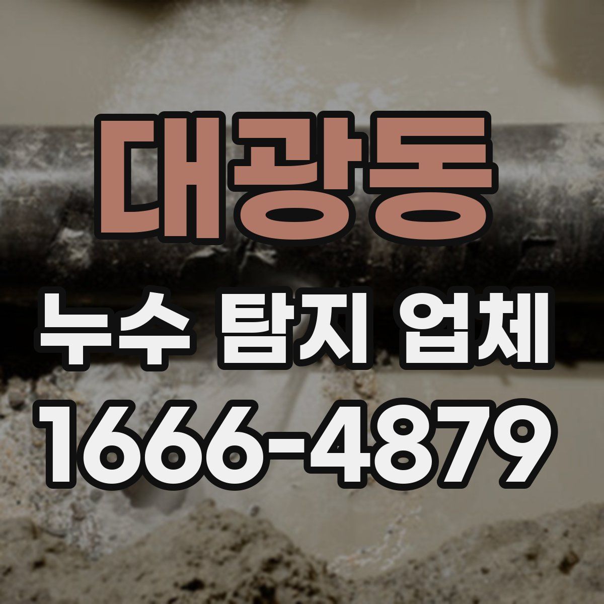 대광동 누수 탐지 업체