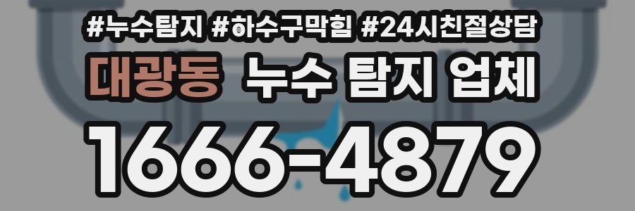 대광동 누수 탐지 업체