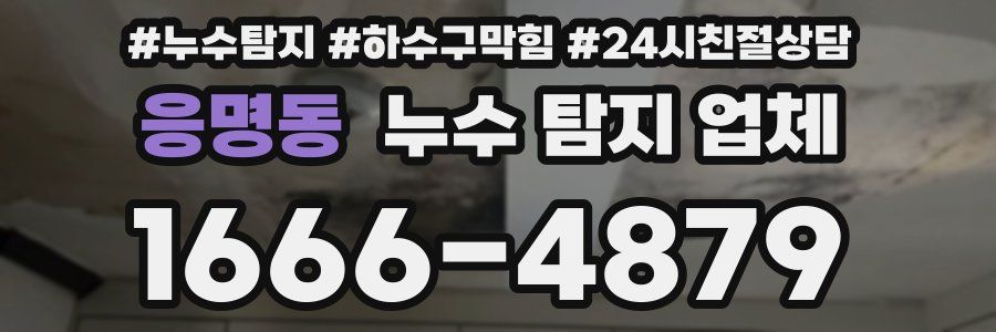응명동 누수 탐지 업체