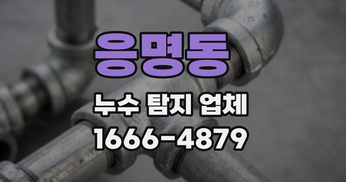 응명동 누수 탐지 업체