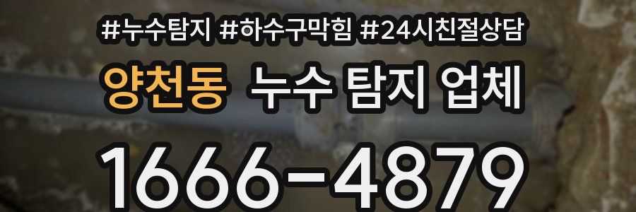 양천동 누수 탐지 업체