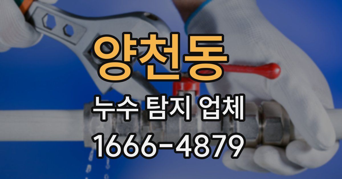 양천동 누수 탐지 업체