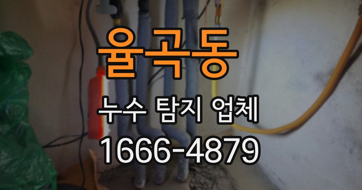 율곡동 누수 탐지 업체