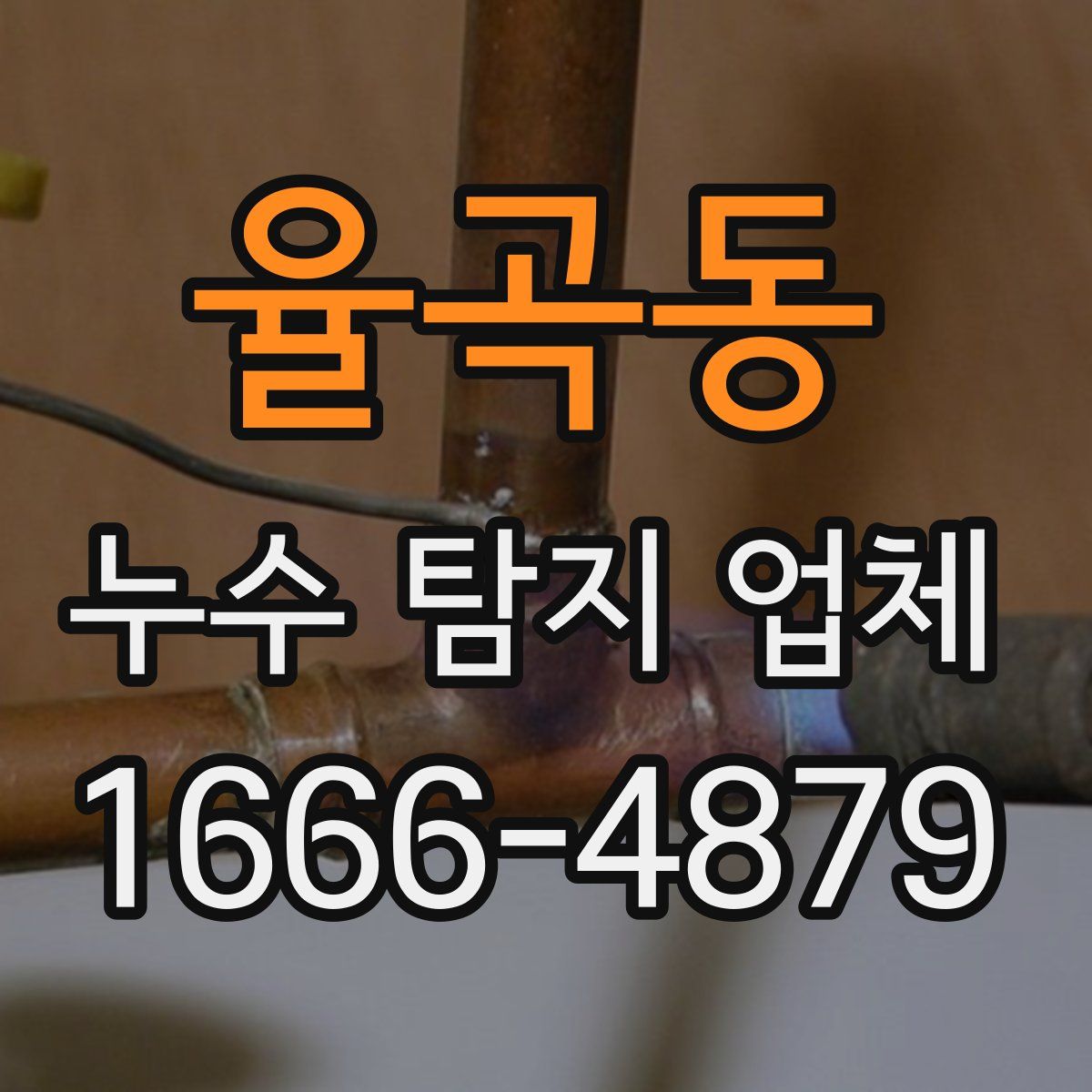 율곡동 누수 탐지 업체
