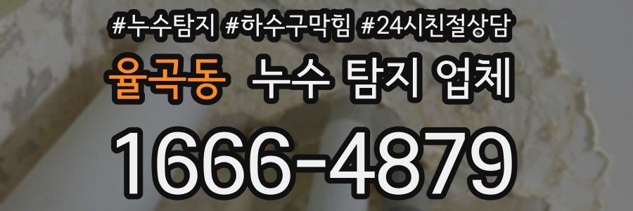 율곡동 누수 탐지 업체