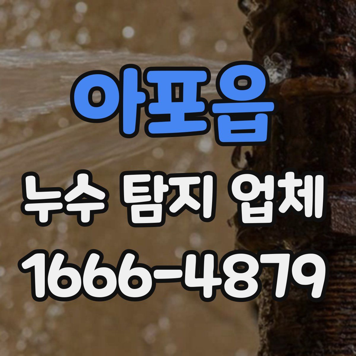 아포읍 누수 탐지 업체