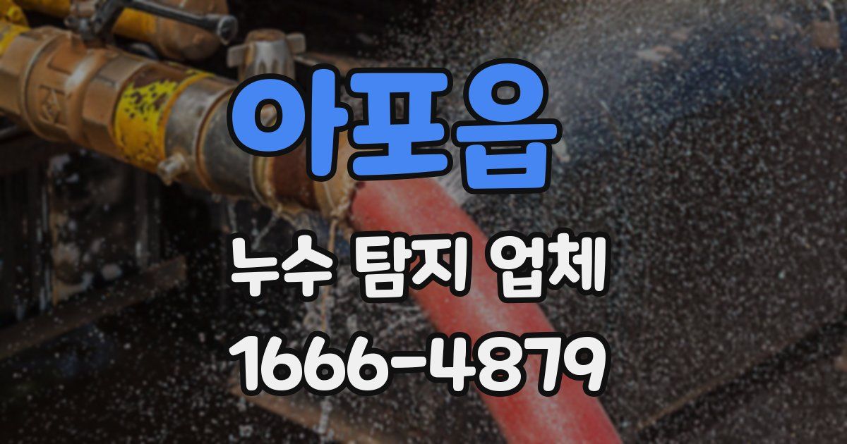 아포읍 누수 탐지 업체