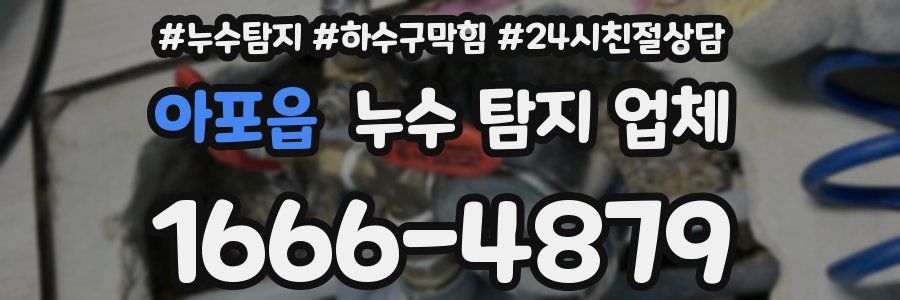 아포읍 누수 탐지 업체