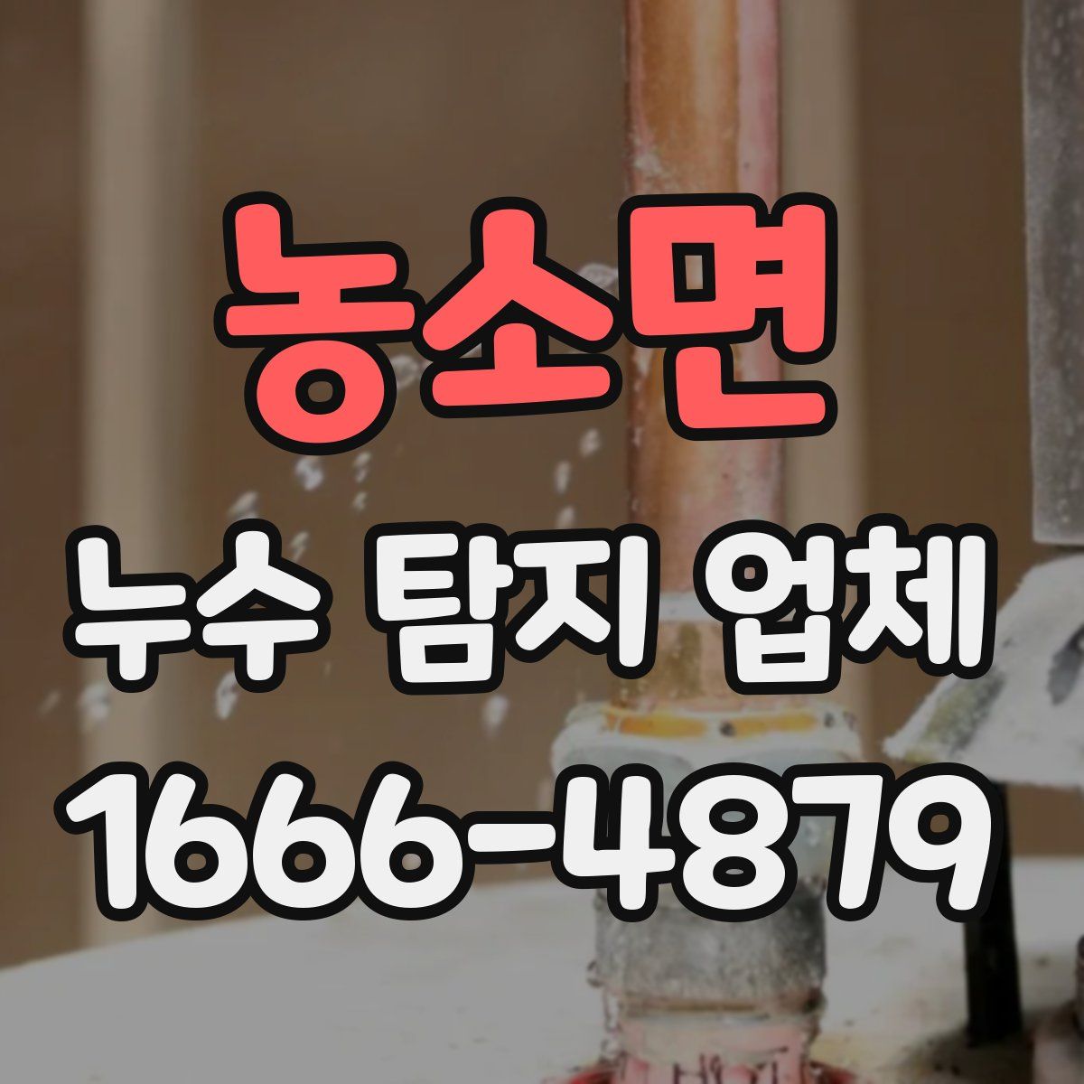농소면 누수 탐지 업체