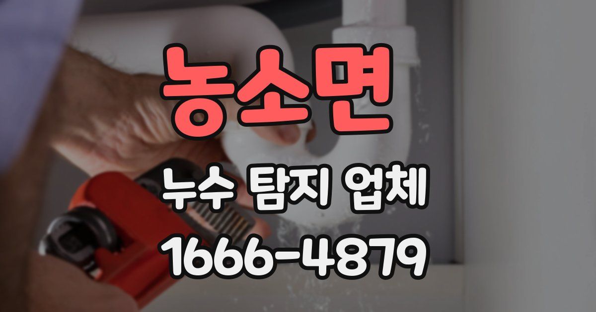 농소면 누수 탐지 업체