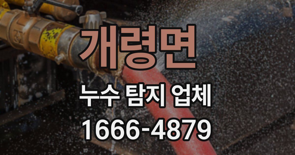 개령면 누수 탐지 업체