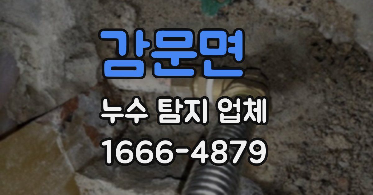 감문면 누수 탐지 업체