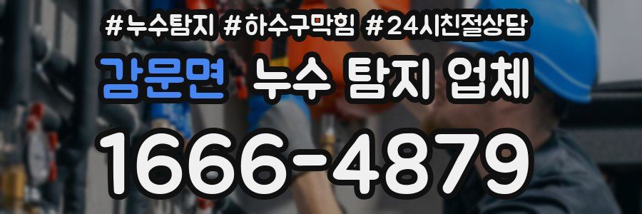 감문면 누수 탐지 업체