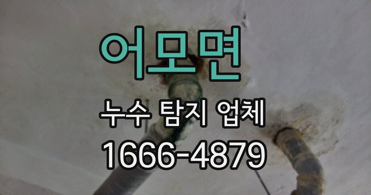 어모면 누수 탐지 업체