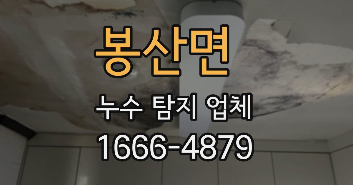 봉산면 누수 탐지 업체
