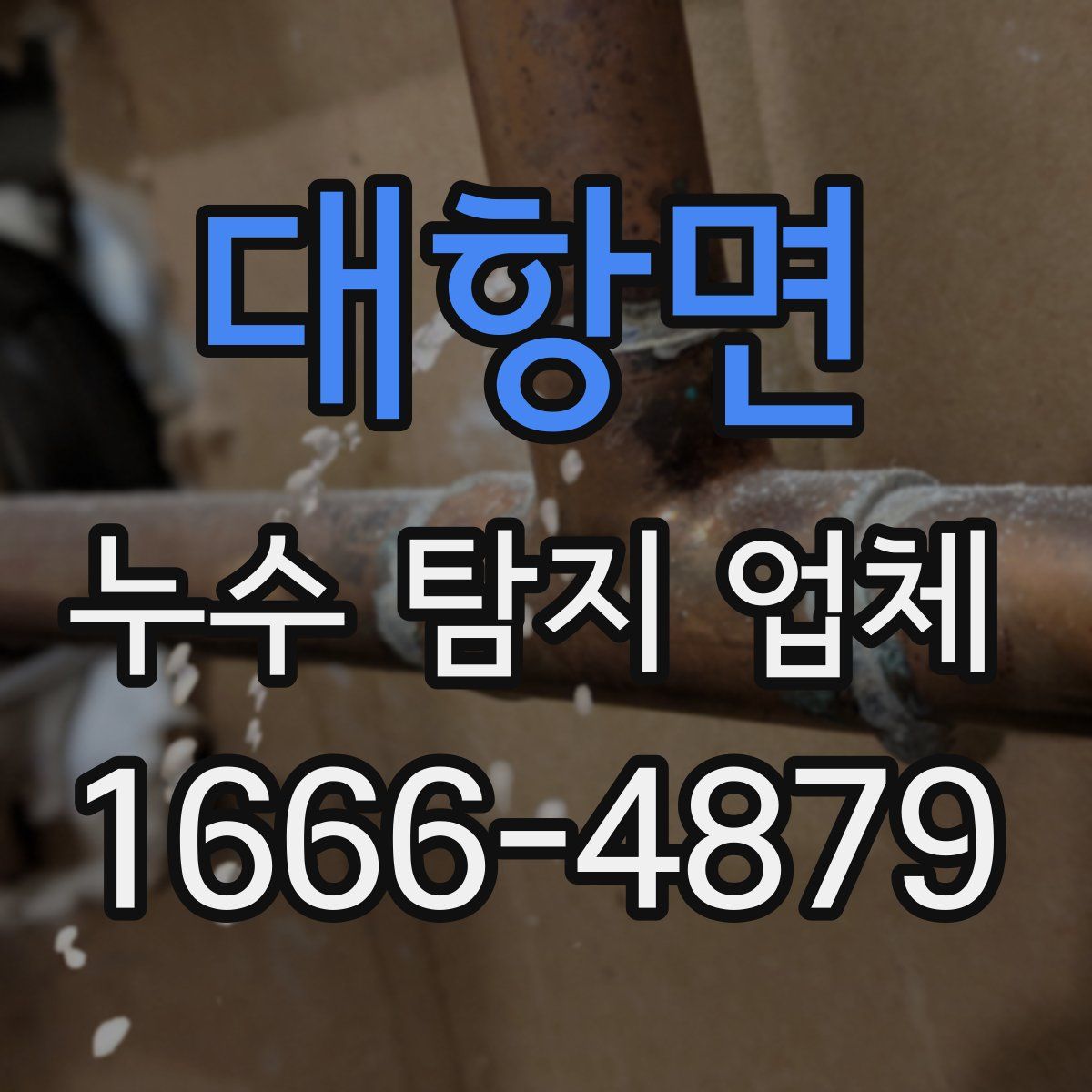 대항면 누수 탐지 업체
