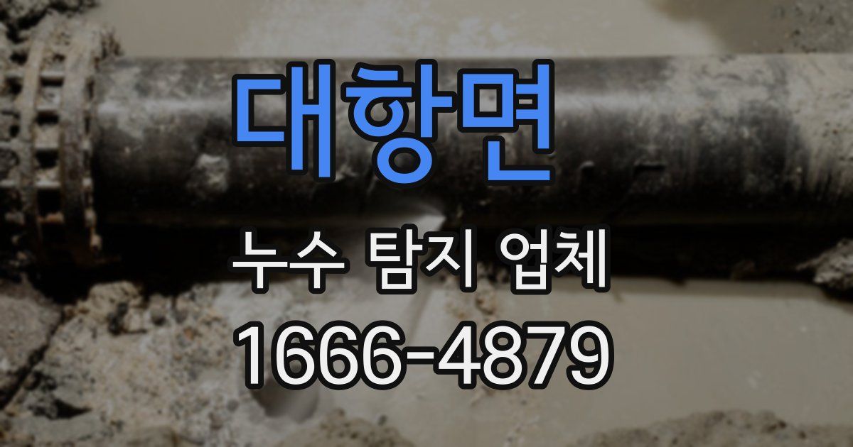 대항면 누수 탐지 업체