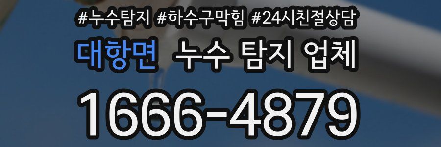 대항면 누수 탐지 업체