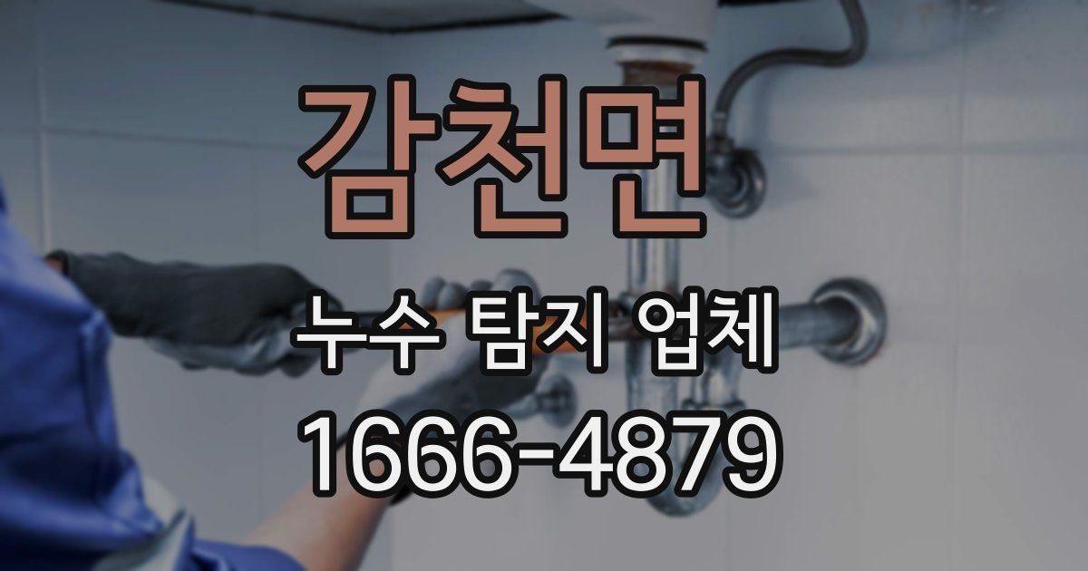 감천면 누수 탐지 업체