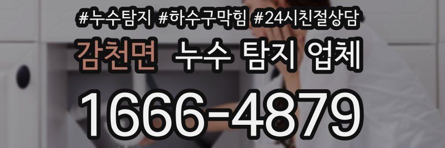 감천면 누수 탐지 업체