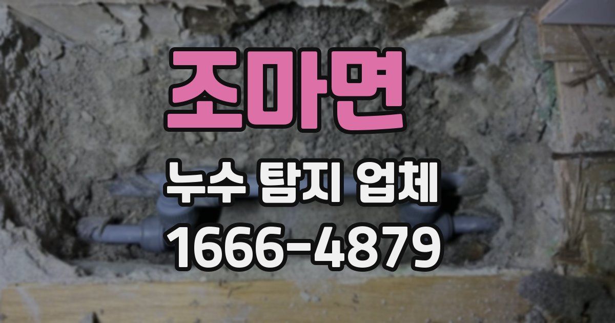 조마면 누수 탐지 업체