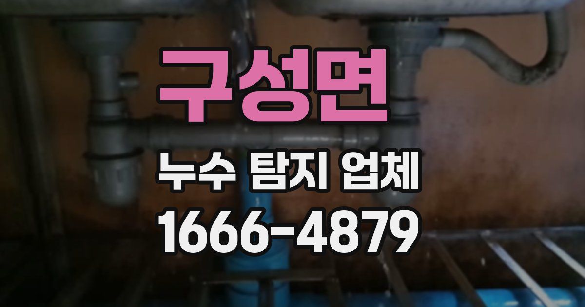 구성면 누수 탐지 업체