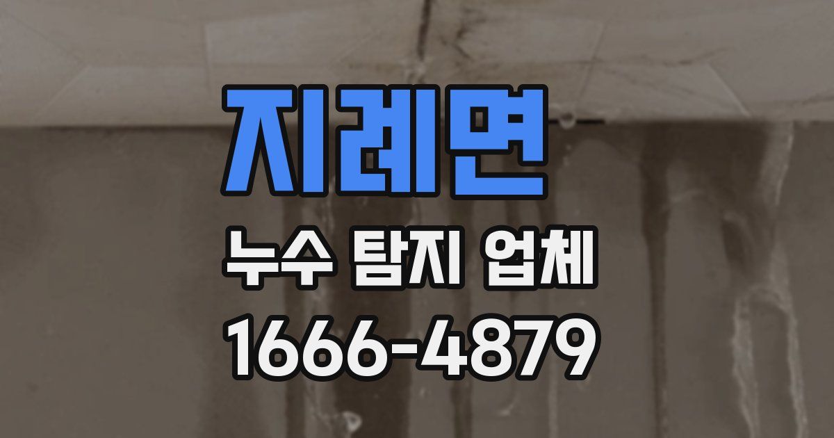 지례면 누수 탐지 업체