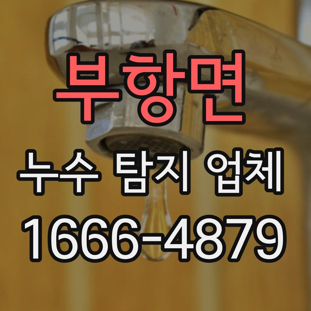 부항면 누수 탐지 업체